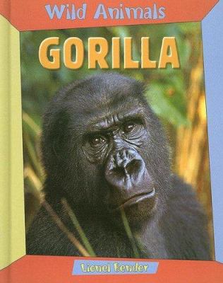 Gorilla