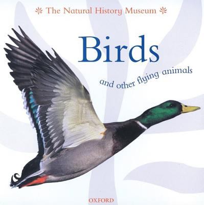 Birds and other flying animals