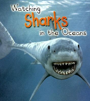 Watching sharks in the oceans