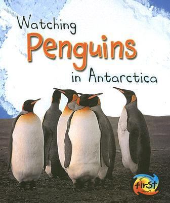 Watching penguins in Antarctica