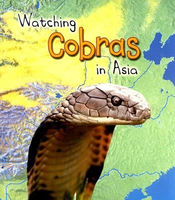 Watching cobras in Asia