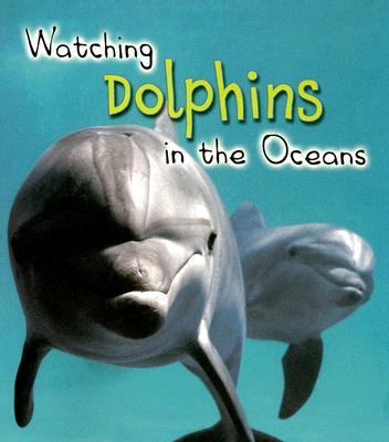 Watching dolphins in the ocean