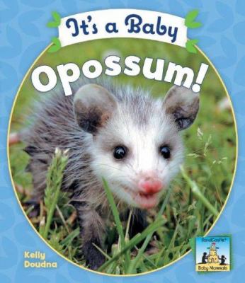 It's a baby opossum!