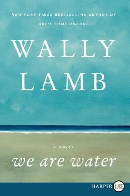 We are water : a novel