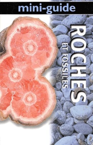 Mini- guide des roches et fossiles