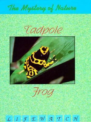 Tadpole to frog