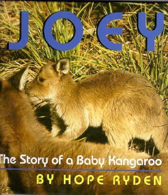 Joey : the story of a baby kangaroo