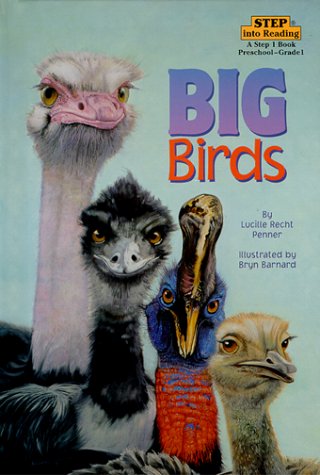 Big birds