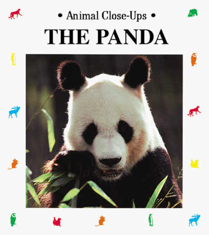 The panda, wild about bamboo