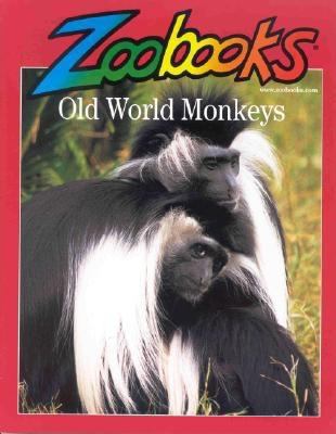 Old world monkeys