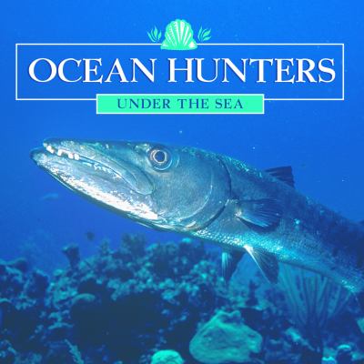 Ocean hunters