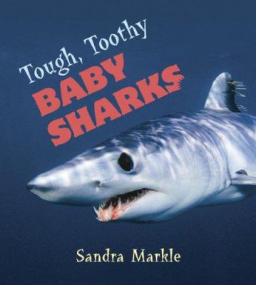 Tough, toothy baby sharks