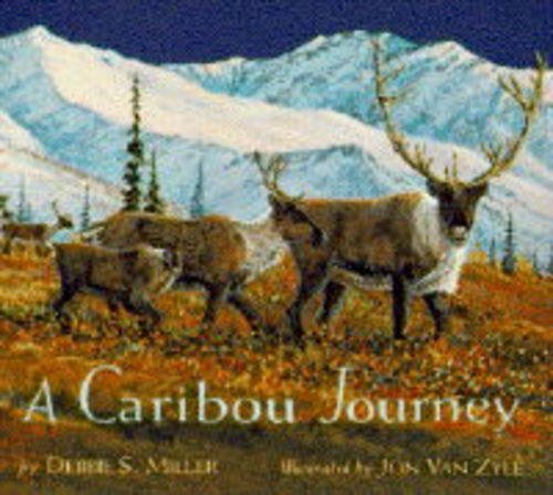 A Caribou journey