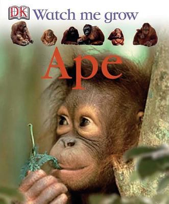 Ape