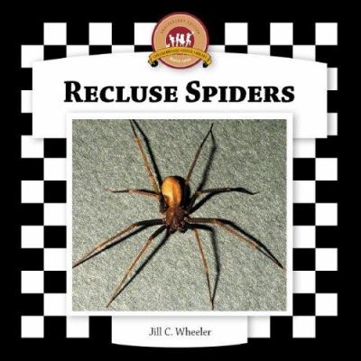 Recluse spiders