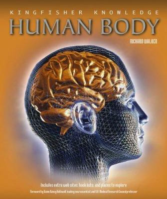 The human body