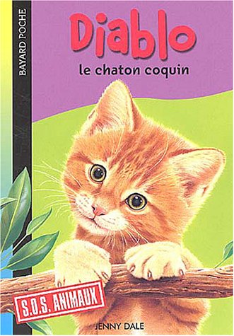 Diablo, le chaton coquin