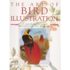The art of bird illustration