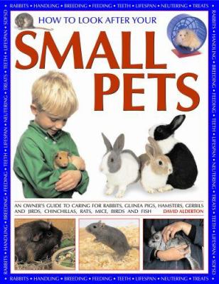 How to look after your small pets : an owner's guide to caring for rabbits, guinea pigs, hamsters, gerbils and jirds, chinchillas, rats, mice, and other rodents