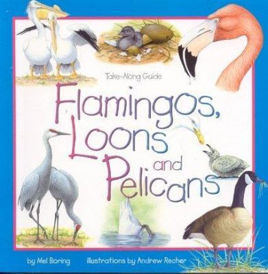 Flamingos, loons, and pelicans