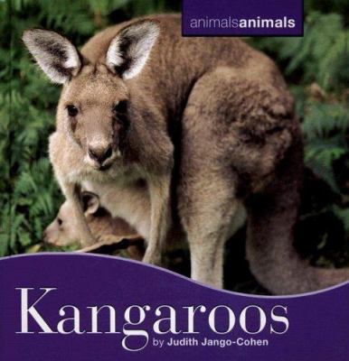 Kangaroos