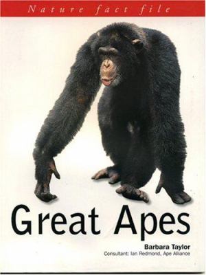 Great apes