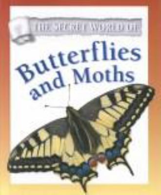 Butterflies and moths