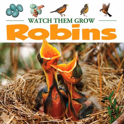 Robins : world of wonder watch them grow