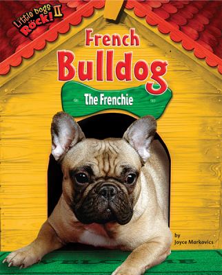 French bulldog : the frenchie