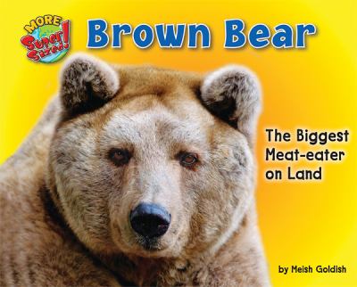 Brown bear : the biggest meat-eater on land