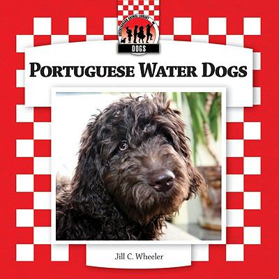 Portuguese water dogs