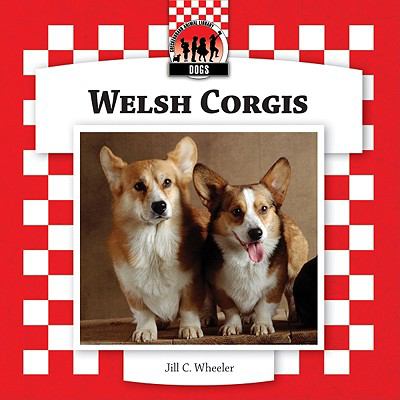 Welsh corgis