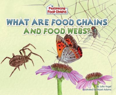 What are food chains and food webs?