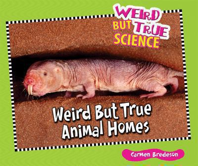 Weird but true animal homes