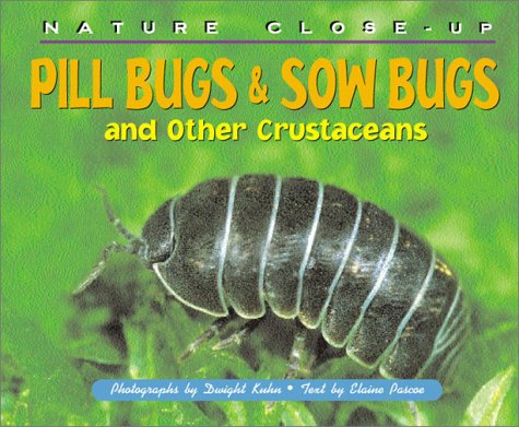 Pill bugs & sow bugs and other crustaceans