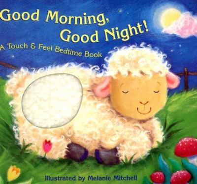Good morning, good night! : a touch & feel bedtime book