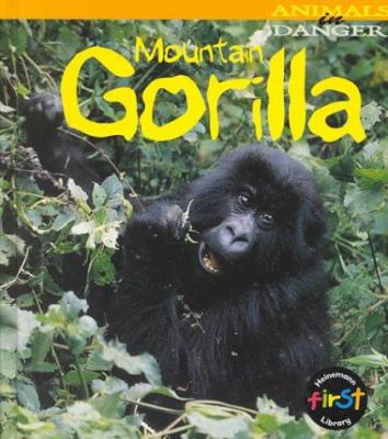 Mountain gorilla