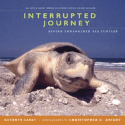 Interrupted journey : saving endangered sea turtles