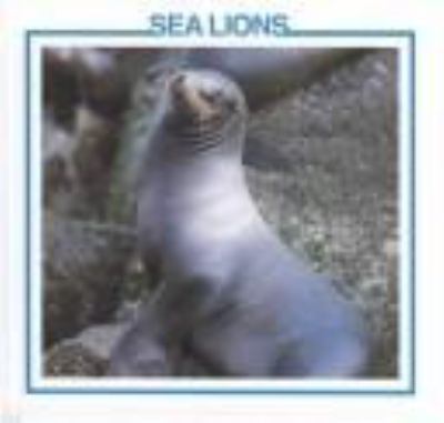 Sea lions