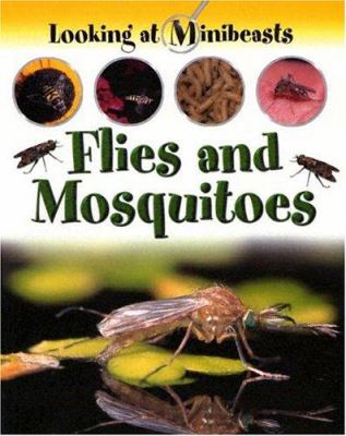 Flies and mosquitoes