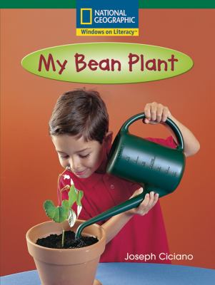 My bean plant