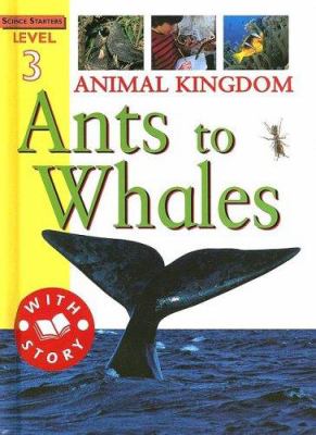 Animal kingdom : ants to whales