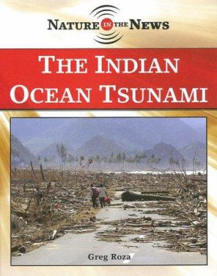 The Indian ocean tsunami