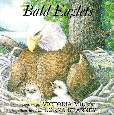 Bald eaglets