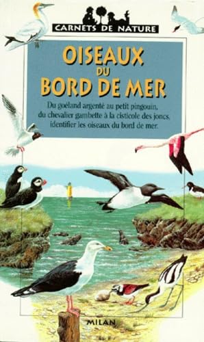 Oiseaux du bord de mer