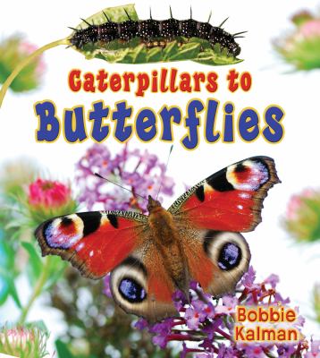 Caterpillars to butterflies