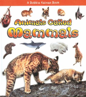 Animals called mammals
