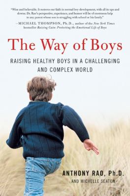 The way of boys : raising healthy boys in a challenging and complex world