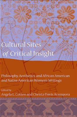 Cultural sites of critical insight : philosophy, aesthetics, and African American and Native American women's writings