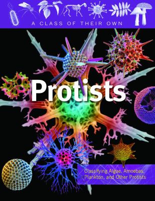 Protists : algae, amoebas, plankton, and other protists